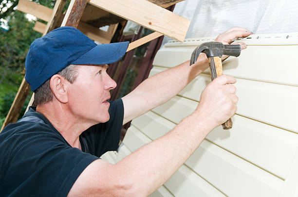 Best Brick Veneer Siding  in Bridgetown, MS